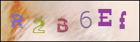 Registration Image